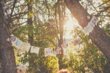 Summer_Wedding Banner