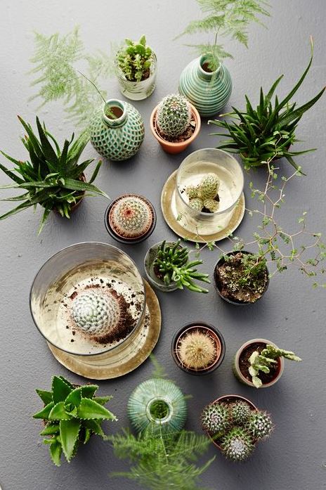 10_Greens_Mariannedebourg