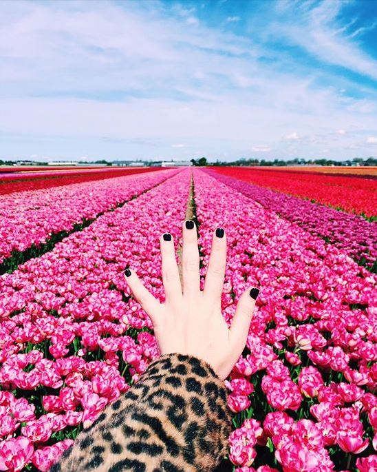 9_Design Love Fest_Flower Fields
