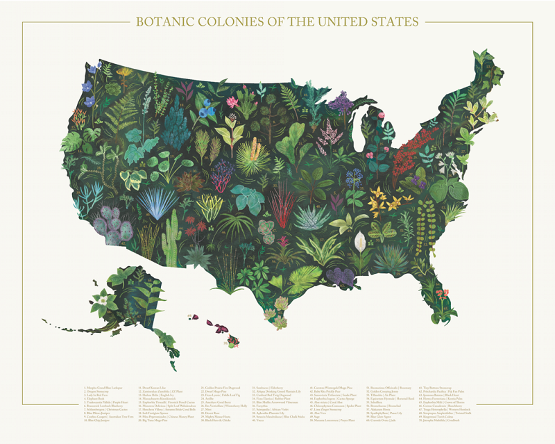 8_MID Goods_Botanic Colonies of The United States